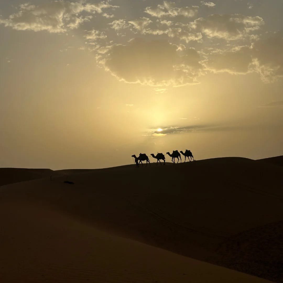 Camel Ride Experience in Merzouga